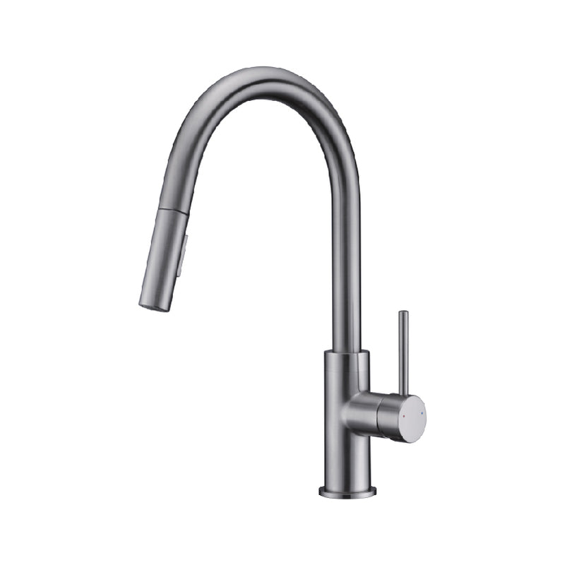 DAKA SERIES - Kitchen Faucet AF8888-5