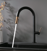 Bumba Series - Kitchen Faucet AF6842-5